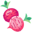 صفحه اصلی 21 food 1
